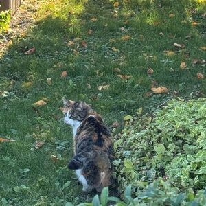 Meet your Posher, Bea